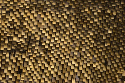 A obra de autoria de Athos Bulcão, que reveste o teto do Plenário do Senado Federal, é formada por 135 mil plaquetas de alumínio e desempenha três funções principais: além de melhorar a acústica do plenário, controlando distorções sonoras, as plaquetas atuam como refletores para otimizar a iluminação do ambiente e também contribuem para a decoração e a estética do espaço
