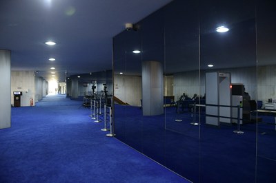 O Salão Azul é um espaço de circulação do Senado Federal, onde encontram-se a entrada principal do Plenário do Senado e alguns gabinetes.